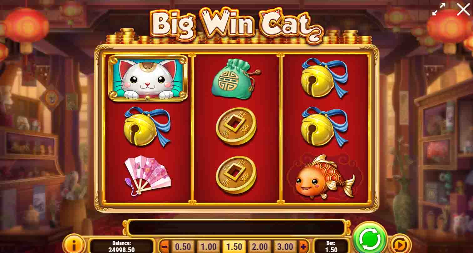 Big Win Cat